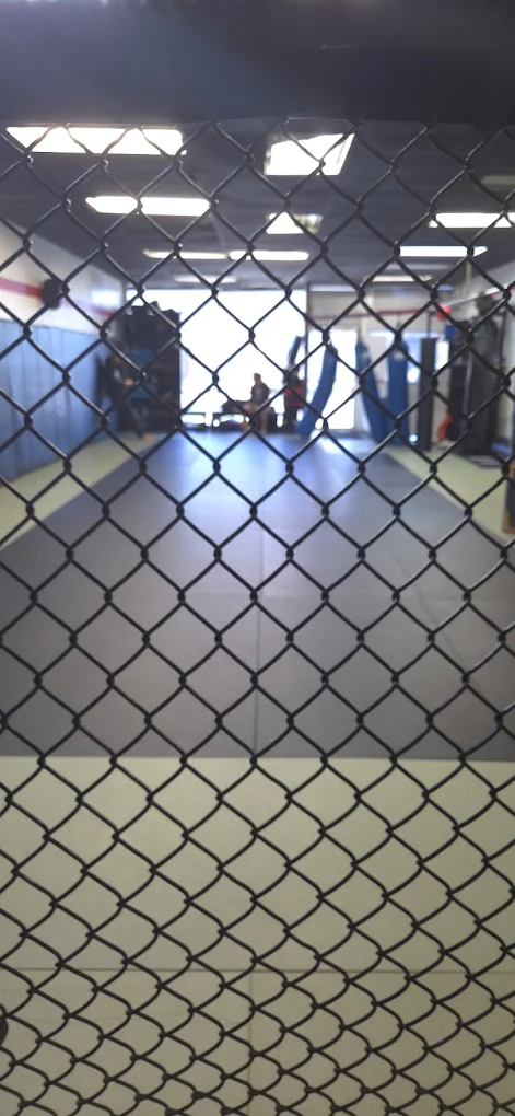 View through the cage at Gifted MMA