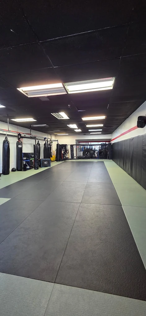 Gifted MMA gym interior with heavy bags and mats